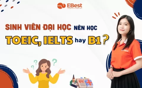 Sinh Viên Đại Học Nên Học TOEIC Hay IELTS Hay B1 Là Phù Hợp Nhất Hiện Nay?
